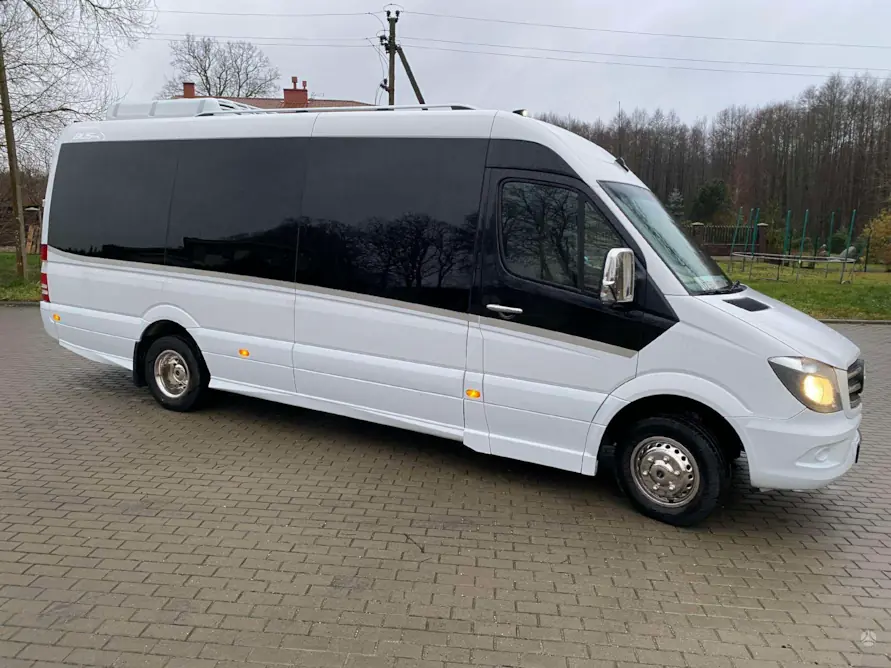 Mikroautobusų nuomos užklausa kelionei ar renginiui